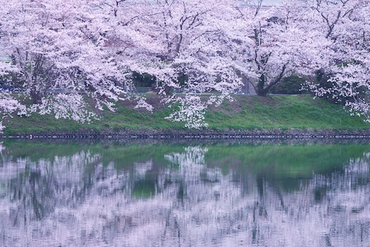 CRW_1817.jpg