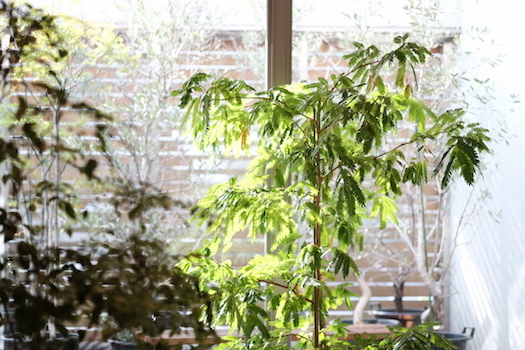 DSCF2540.jpg