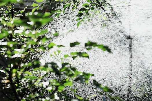 DSCF9333.jpg