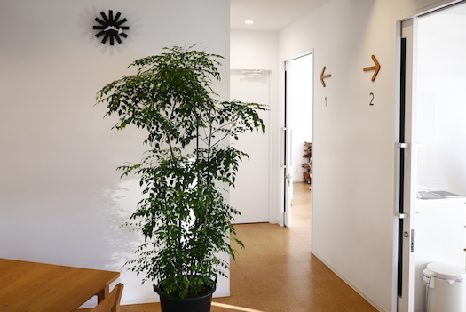 P1070167.jpg