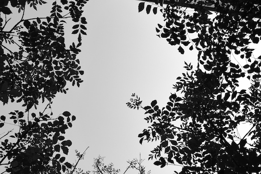 P1070838.jpg