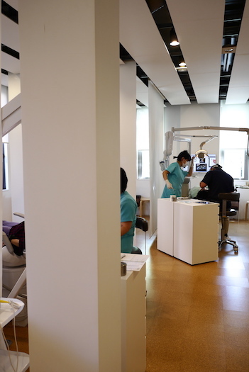 P1090204.jpg